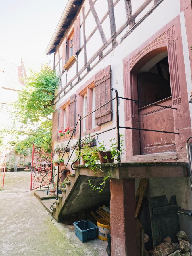 Le Haut Relais Des Seigneurs - 5 Mn Royal Palace De Kirrwiller Bouxwiller  Exterior foto